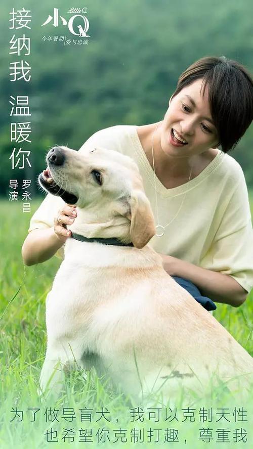 安德鲁斯大学机械制造学位证